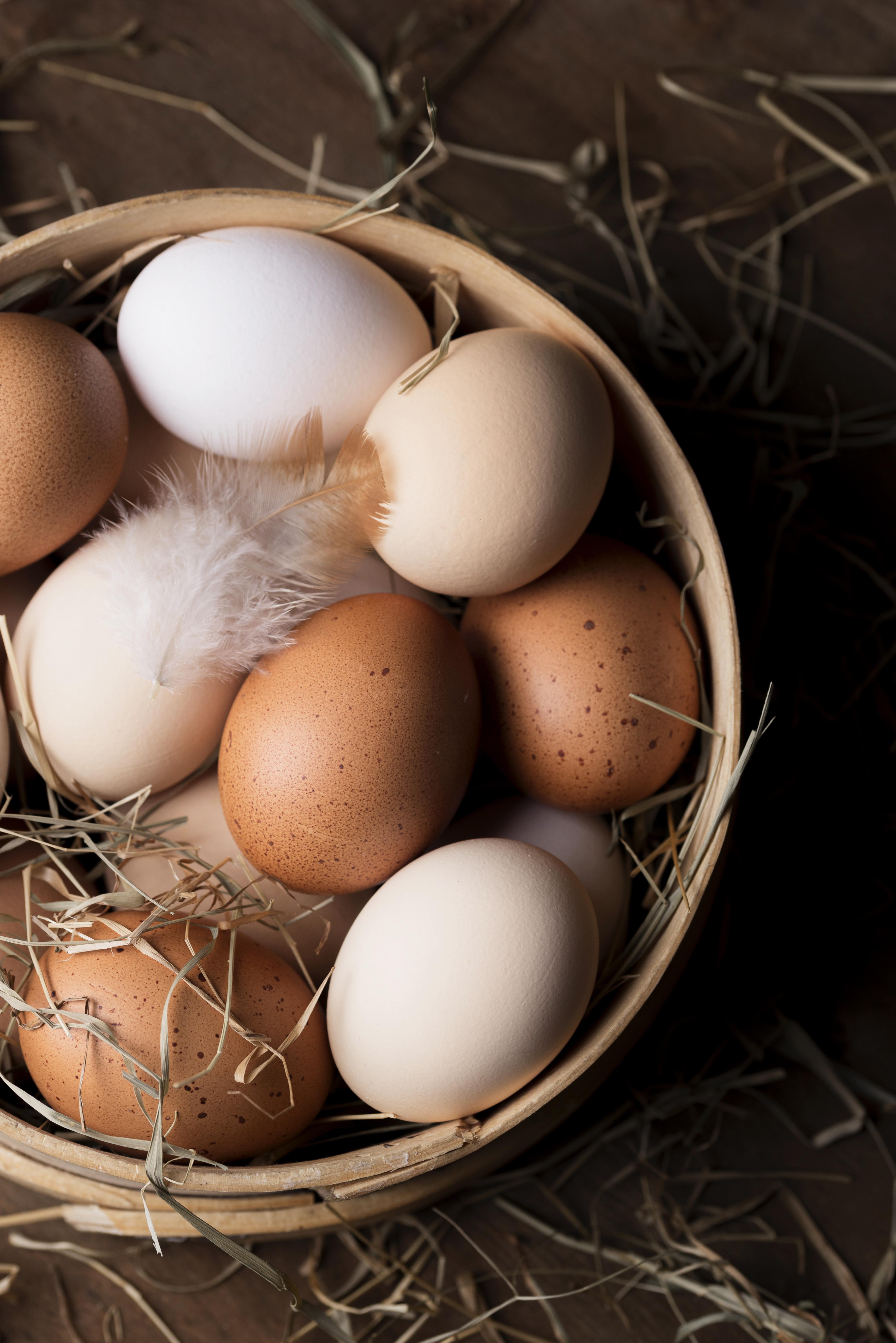 eggs